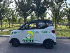 Wuling Hongguang MINIEV GAMEBOY 300km Fun Edition LFP Battery - ფოტო 7