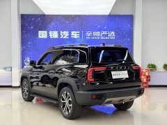 Great Wall Dachshund 1.5T DCT Two-Wheel Drive Border Collie Edition - ფოტო 4