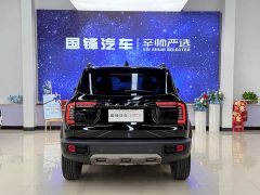 Great Wall Dachshund 1.5T DCT Two-Wheel Drive Border Collie Edition - ფოტო 5