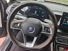 BYD Qin PLUS Champion Edition DM-i 55KM Exceed - ფოტო 15