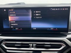 BMW 3 Series 320Li M Sport Package - ფოტო 12