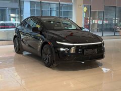 Tesla Model Y Rear-Wheel Drive - ფოტო 3