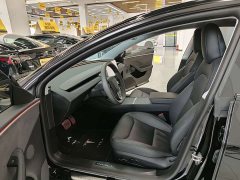 Tesla Model 3 Long Range All-Wheel Drive - ფოტო 6