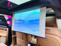 Stelato S9 BEV Ultra RWD Long-Range Flagship - ფოტო 15