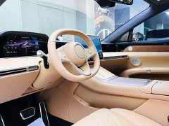 Stelato S9 BEV Ultra RWD Long-Range Flagship - ფოტო 8