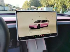 Tesla Model 3 Rear-Wheel Drive - ფოტო 17