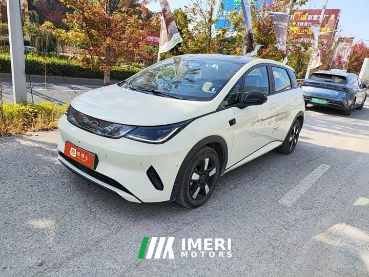 BYD Dolphin Smart Drive 410km Fashion Edition