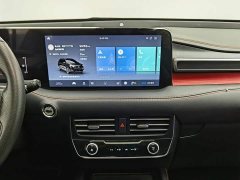 Ford Edge PLUS EcoBoost 245 AWD ST-Line 7-Seater - ფოტო 12