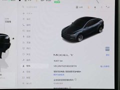 Tesla Model Y Rear-Wheel Drive - ფოტო 12