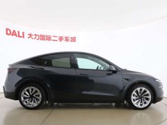 Tesla Model Y Rear-Wheel Drive - ფოტო 16