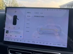Li Auto L7 Max Smart Refresh Edition - ფოტო 9