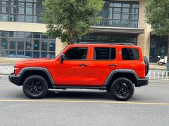 Tank 300 Off-Road Edition 2.0T Conqueror - ფოტო 14