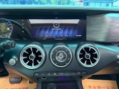 Tank 300 Off-Road Edition 2.0T Conqueror - ფოტო 10
