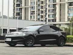 Tesla Model 3 Rear-Wheel Drive - ფოტო 1