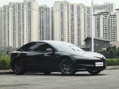 Tesla Model 3 Rear-Wheel Drive - ფოტო 3
