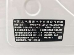 Buick GL8 New Energy Lusang Respect Edition - ფოტო 16
