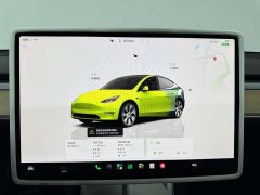 Tesla Model Y Facelift Rear-Wheel Drive - ფოტო 9