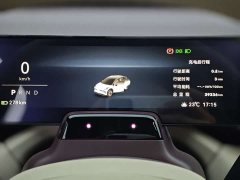 Zeekr X Rear-Wheel Drive YOU Edition 4-Seater - ფოტო 9