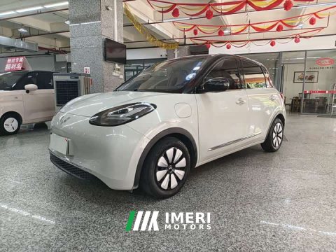 2023 Wuling Binguo 333km Joy Edition - ავტომობილი ჩინეთიდან