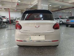 Wuling Binguo 333km Joy Edition - ფოტო 11