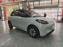 Wuling Binguo 333km Joy Edition - ფოტო 3