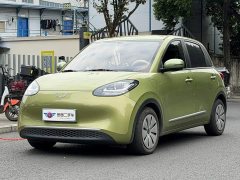 Wuling Binguo 333km Quick Enjoy Edition - ფოტო 1
