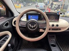 Wuling Binguo 333km Quick Enjoy Edition - ფოტო 14