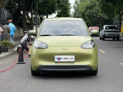 Wuling Binguo 333km Quick Enjoy Edition - ფოტო 2