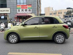 Wuling Binguo 333km Quick Enjoy Edition - ფოტო 3