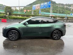 Tesla Model Y Rear-Wheel Drive - ფოტო 3