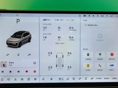 Li Auto L6 Max Smart Refresh Edition - ფოტო 9