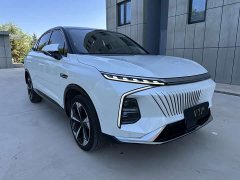 Buick Whale 2.0T Blue Whale Edition - ფოტო 2