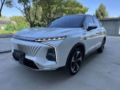Buick Whale 2.0T Blue Whale Edition - ფოტო 3