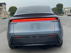 Tesla Model Y Long Range All-Wheel Drive Launch Edition - ფოტო 6