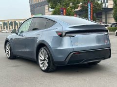 Tesla Model Y Long Range All-Wheel Drive Launch Edition - ფოტო 7