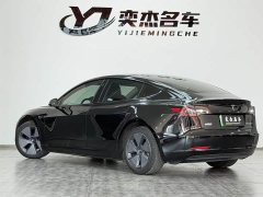 Tesla Model 3 Standard Range RWD Upgrade - ფოტო 8
