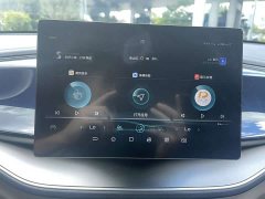 BYD Qin Plus DM-i 55KM Luxury - ფოტო 19
