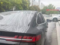 BYD Han DM AWD Performance Luxury - ფოტო 6
