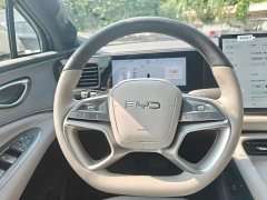 BYD Sealion 06 DM-i 205 Pilot Pro - ფოტო 10