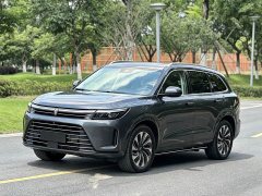 AITO Wenjie M7 1.5T RWD Comfort Edition - ფოტო 1