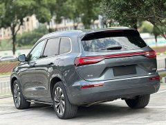 AITO Wenjie M7 1.5T RWD Comfort Edition - ფოტო 8