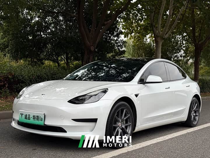 Tesla Model 3 Rear-Wheel Drive