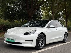 Tesla Model 3 Rear-Wheel Drive - ფოტო 1