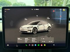 Tesla Model 3 Rear-Wheel Drive - ფოტო 11