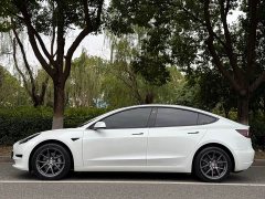 Tesla Model 3 Rear-Wheel Drive - ფოტო 2