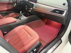 BMW 5 Series 530Li Premier M Sport Package - ფოტო 6