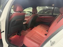 BMW 5 Series 530Li Premier M Sport Package - ფოტო 8