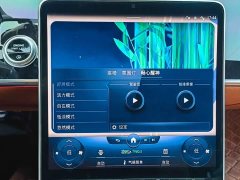 Mercedes-Benz S-Class Facelift S 400 L Luxury - photo 19