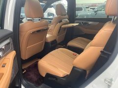 GAC Aion ES9 PHEV 143km Traveler Max - ფოტო 8