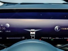Buick Century 2.0T Four-Seater Private Edition - ფოტო 13
